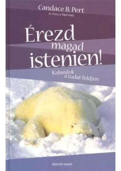ÉREZD MAGAD ISTENIEN