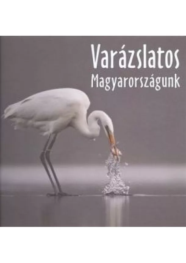 DR. KALOTÁS ZSOLT - VARÁZSLATOS MAGYARORSZÁGUNK