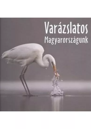 VARÁZSLATOS MAGYARORSZÁGUNK