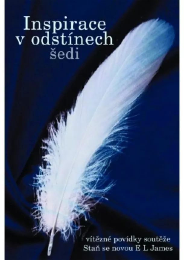 Helena Žižková, Karin Kušová, Eliška Hřebenářová, Monika Richterová, Jana Hrubešová, Romana Niklová, Lenka Černá Langová, Martina Solčanská, Martin Jarkovský, Lucie Větrovcová - Inspirace v odstínech šedi