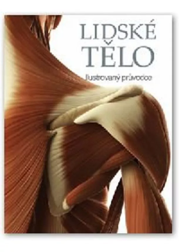 autor neuvedený - Lidské tělo - Ilustrovaný průvodce