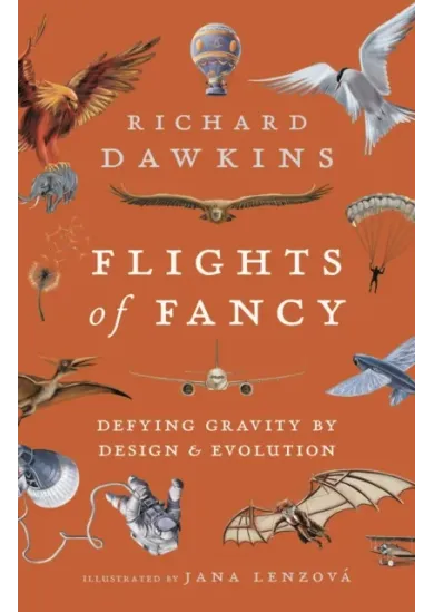 Flights of Fancy