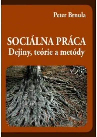 Sociálna práca - Dejiny, teórie a metódy