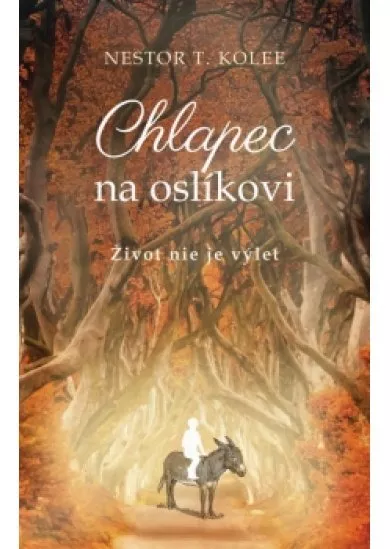 Chlapec na oslíkovi
