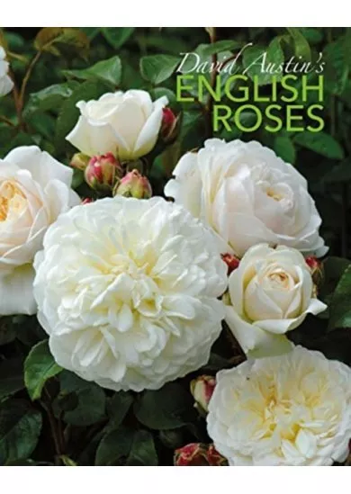 David Austins English Roses