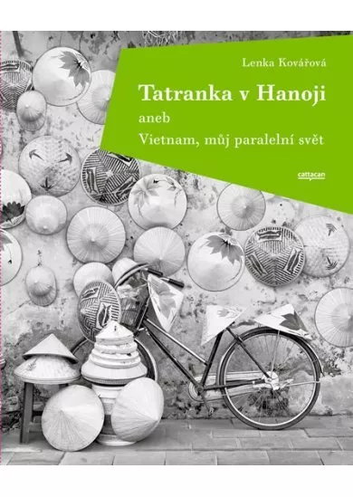 Tatranka v Hanoji aneb Vietnam, můj para