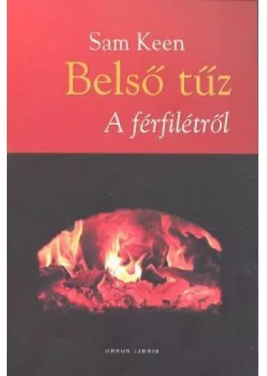 BELSŐ TŰZ A FÉRFILÉTRŐL