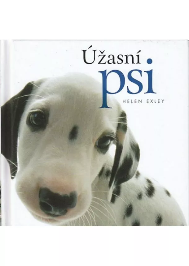 Pam, Helen Exley, Brown - Úžasní psi