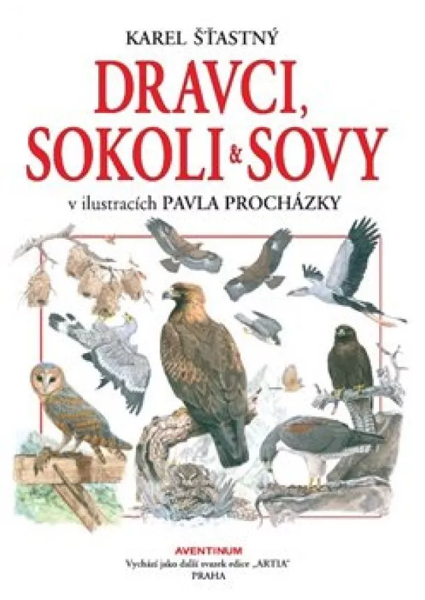 Karel Šťastný - Dravci, sokoli a sovy
