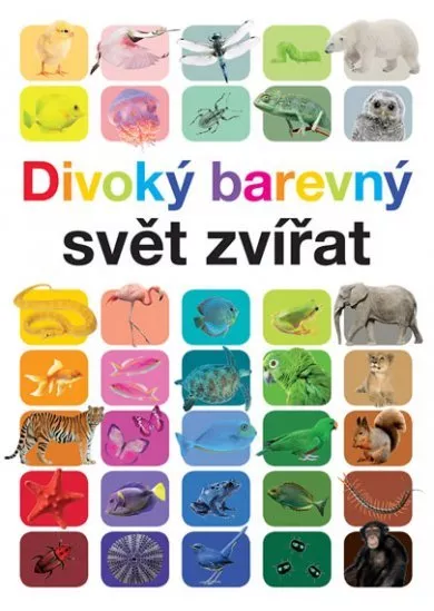 Divoký barevný svět zvířat