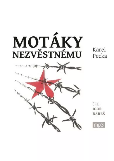 BAREŠ IGOR  PECKA: MOTÁKY NEZVĚSTNÉMU (MP3-CD)
