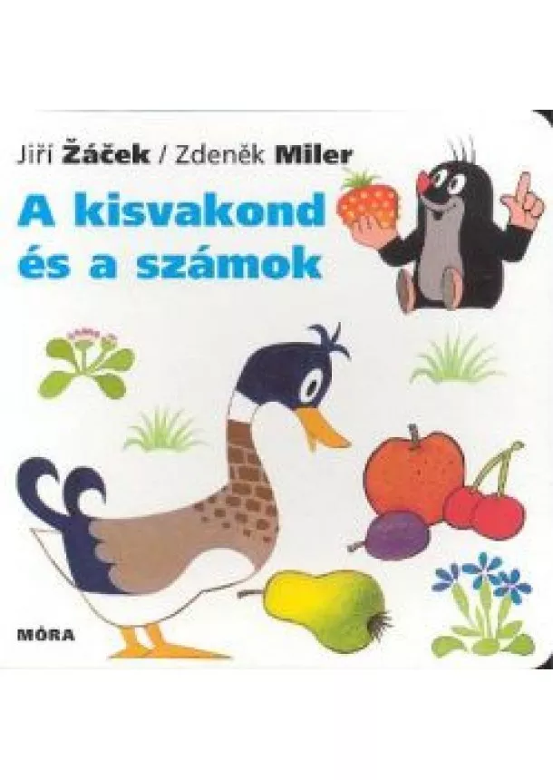 JIRI ZACEK-ZDENEK MILER - A KISVAKOND ÉS A SZÁMOK