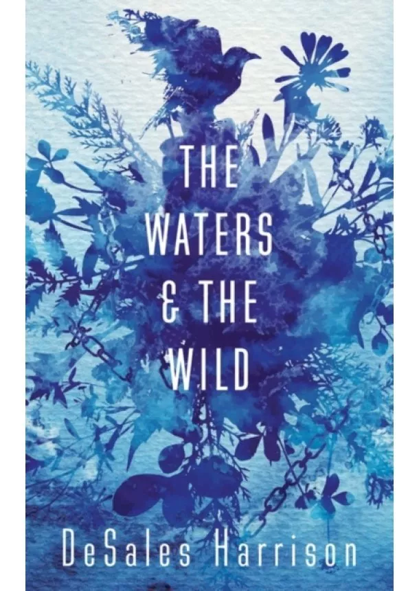 DeSales Harrison - The Waters and the Wild