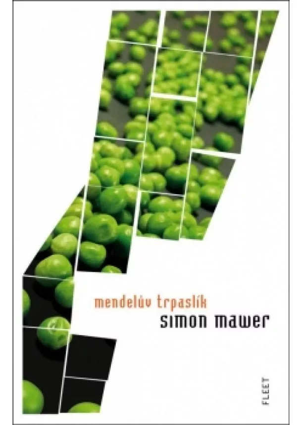 Simon Mawer - Mendelův trpaslík