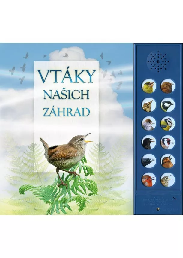 Andrea Pinnington - Vtáky našich záhrad