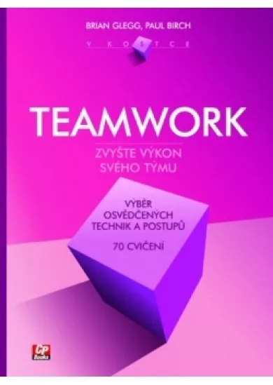 Teamwork v kostce