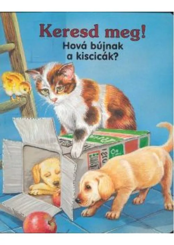 Stancolt Lapozó - KERESD MEG! HOVÁ BÚJNAK A KISCICÁK?