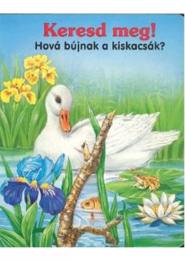 Stancolt Lapozó - KERESD MEG! HOVÁ BÚJNAK A KISKACSÁK?
