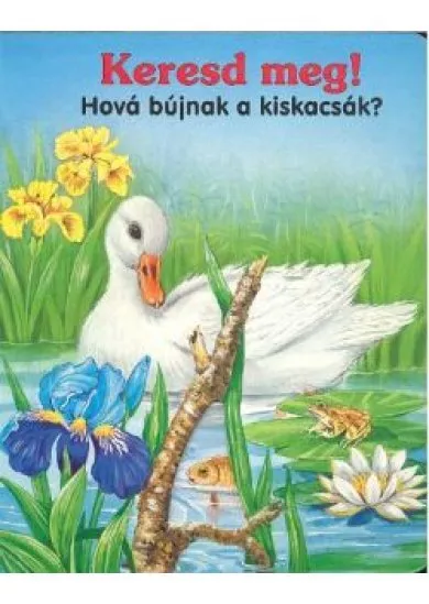 KERESD MEG! HOVÁ BÚJNAK A KISKACSÁK?