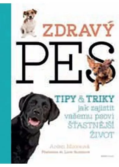 Zdravý pes