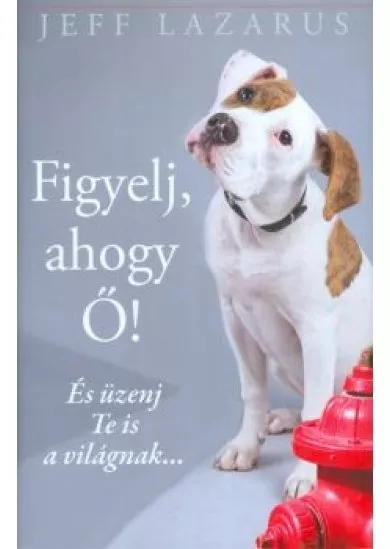 FIGYELJ, AHOGY Ő! /ÉS ÜZENJ TE IS A VILÁGNAK...