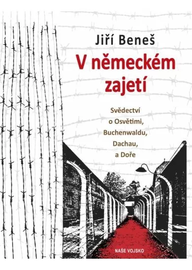 V německém zajetí
