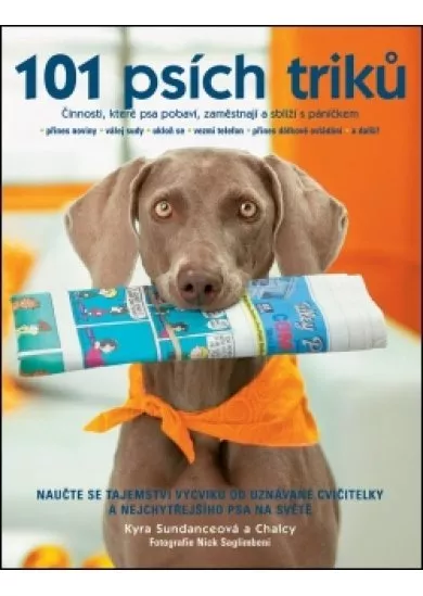 101 psích triků - Činnosti, které psa pobaví, zaměstnají a sblíží s páníčkem