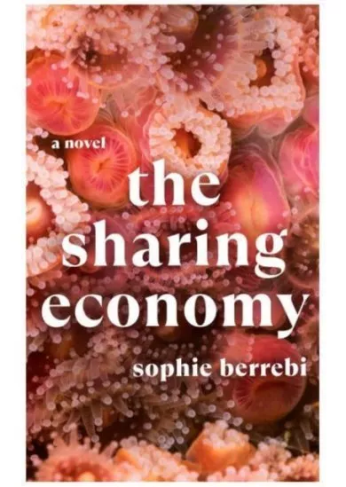 The Sharing Economy