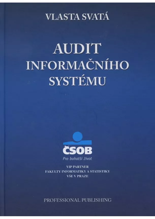 Vlasta Svatá  - Audit informačního systému