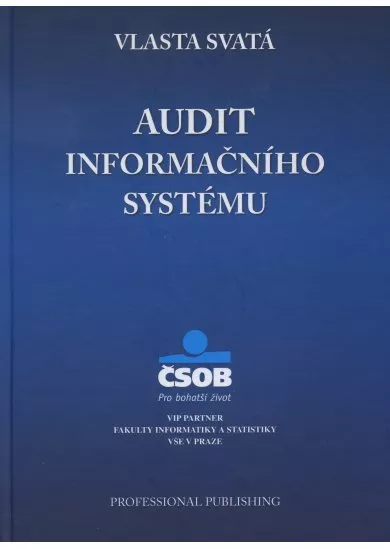 Audit informačního systému