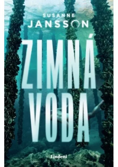 Zimná voda