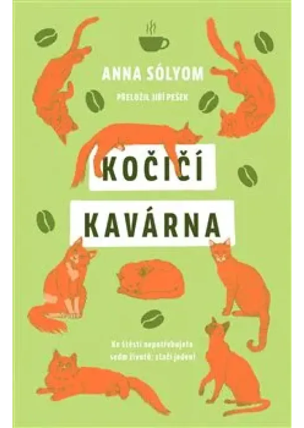Anna Sólyom - Kočičí kavárna