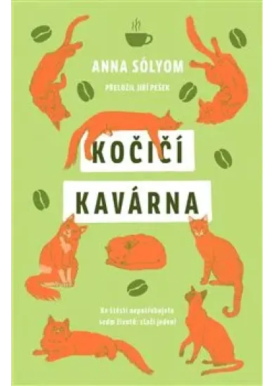 Kočičí kavárna