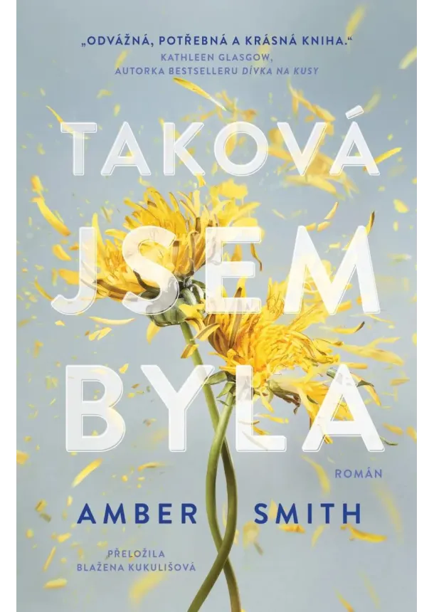 Amber Smith - Taková jsem byla