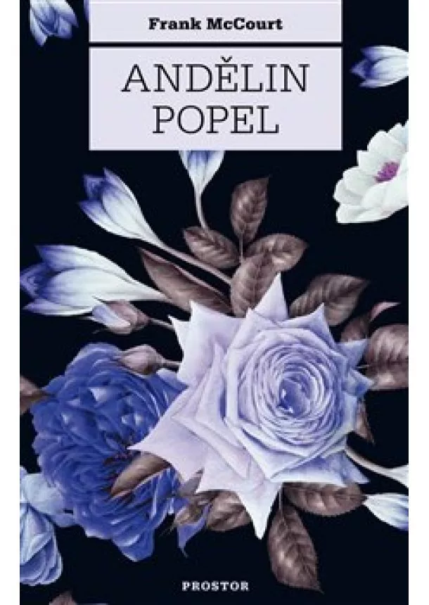 Frank McCourt - Andělin popel
