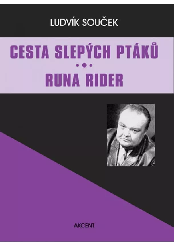 Ludvík Souček - Cesta slepých ptáků / Runa Rider