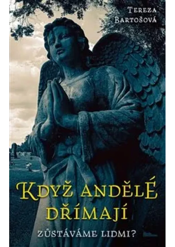 Tereza Bartošová - Když andělé dřímají