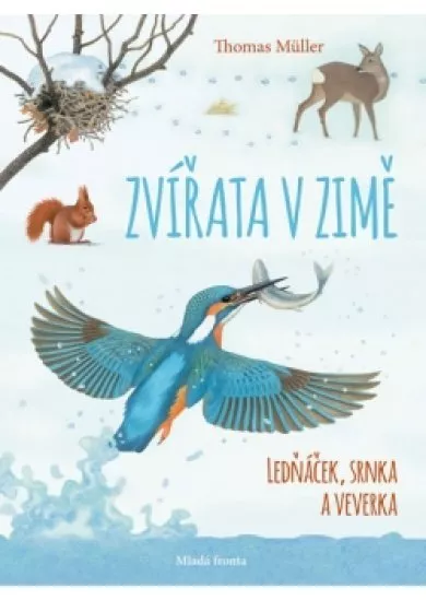 Zvířata v zimě