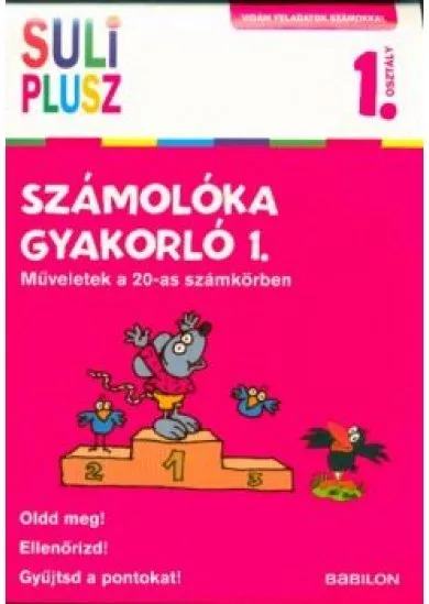 Számolóka gyakorló 1. - Műveletek a 20-as számkörben /Vidám feladatok számokkal 1. osztály