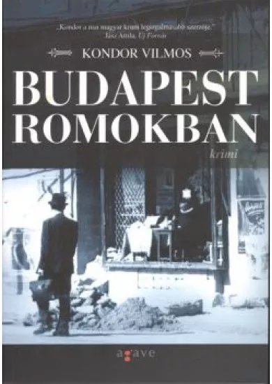 BUDAPEST ROMOKBAN