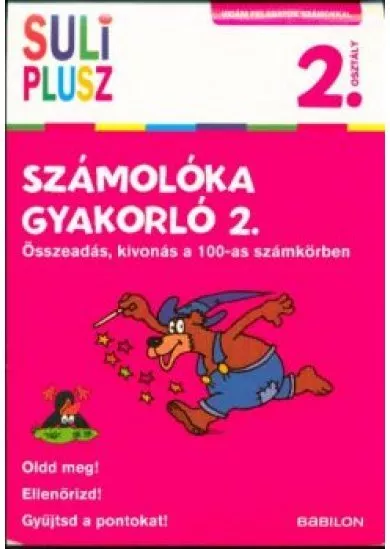 Számolóka gyakorló 2. - Összeadás, kivonás a 100-as számkörben /Vidám feladatok számokkal 2. osztály