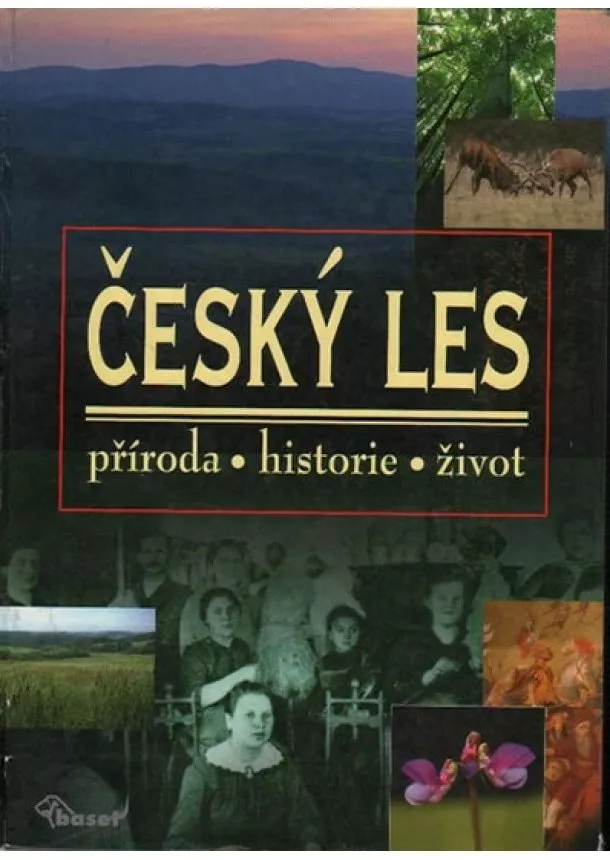 Kolektív - Český les – příroda, historie, život