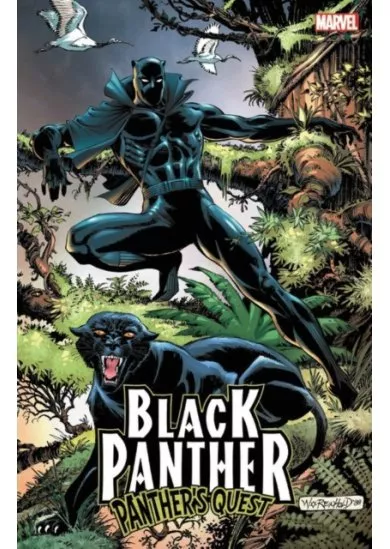Black Panther Panthers Quest