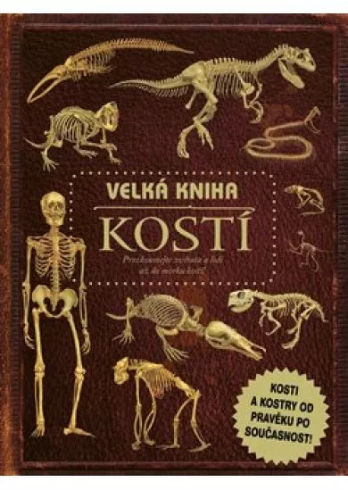 Velká kniha kostí