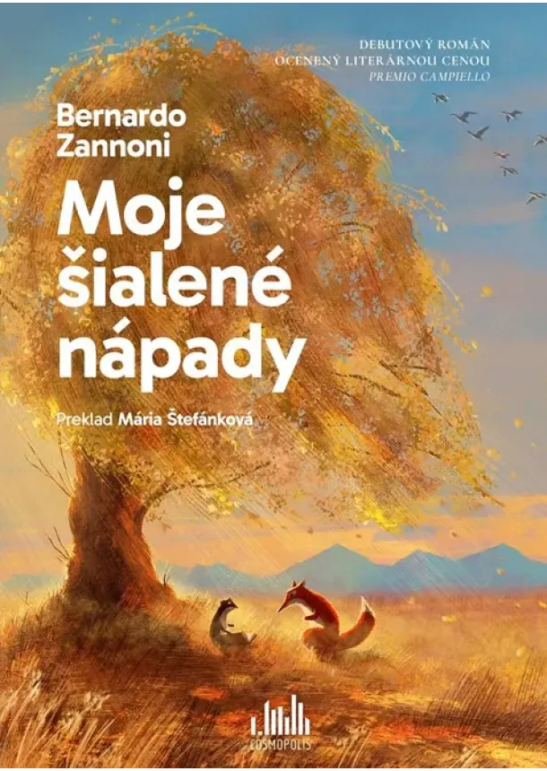 Zannoni Bernardo - Moje šialené nápady