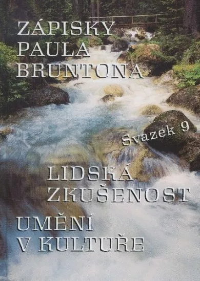 Zápisky Paula Bruntona - svazek 9 - Lidská zkušenost umění v kultuře