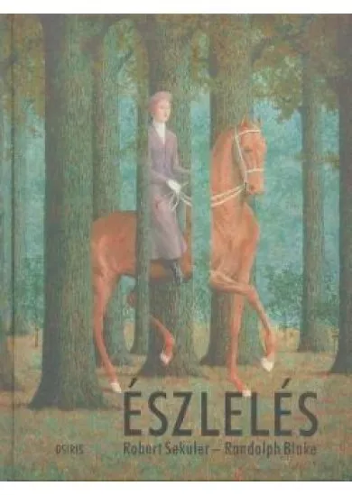 Észlelés
