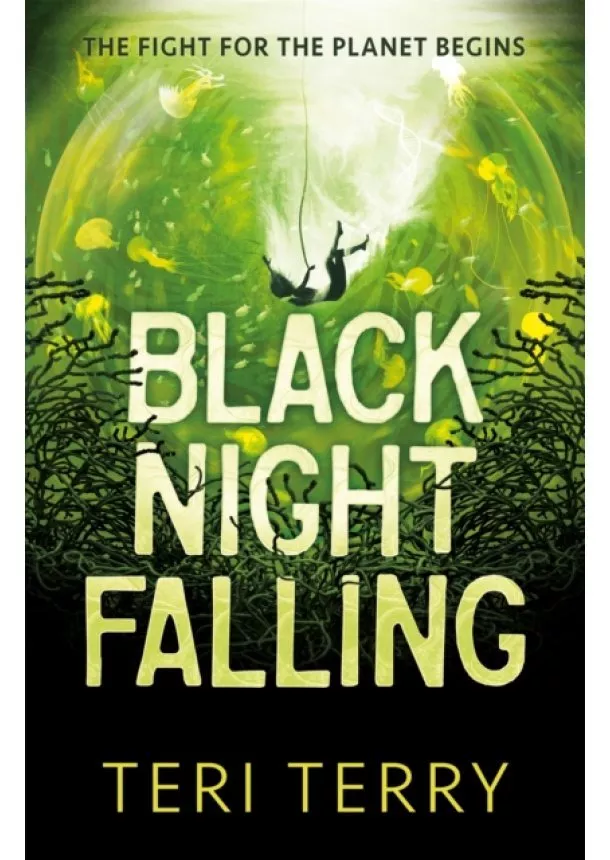 Teri Terry - Black Night Falling