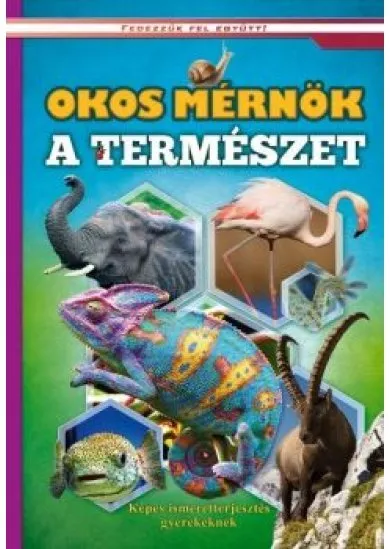 Okos mérnök a természet - Képes ismeretterjesztés gyerekeknek /Fedezzük fel együtt!