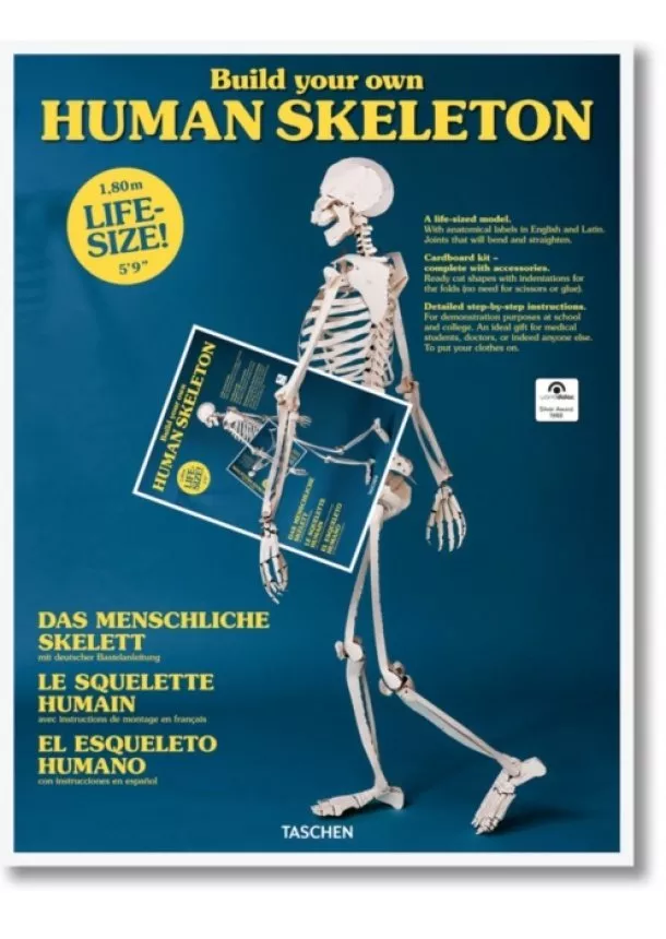 Skeleton